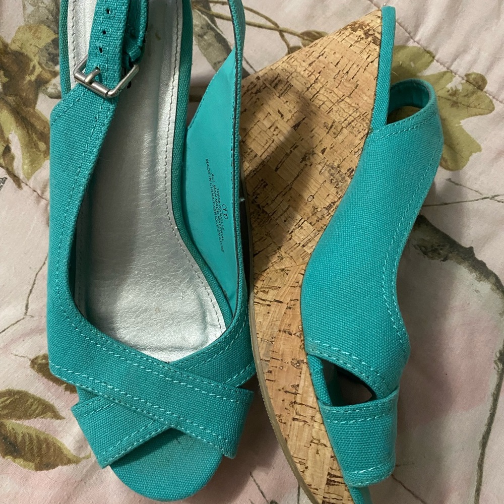 Blue Wedges